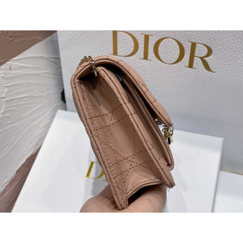 D*or hazelnut lady bag