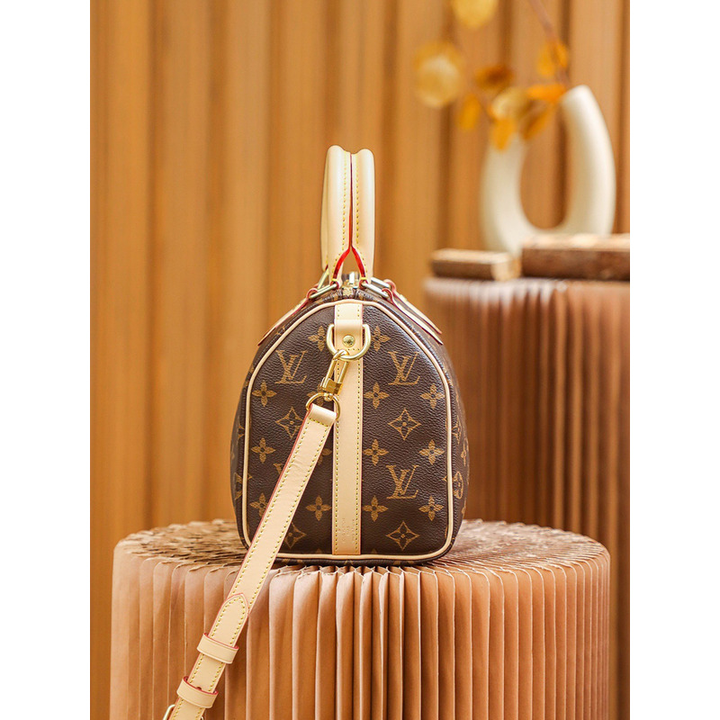 l**is V*t*n speedy monogram 25 brown