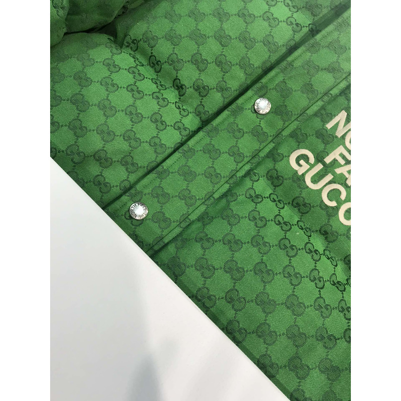 the n0*h F**e x g*u*i edition down jacket
