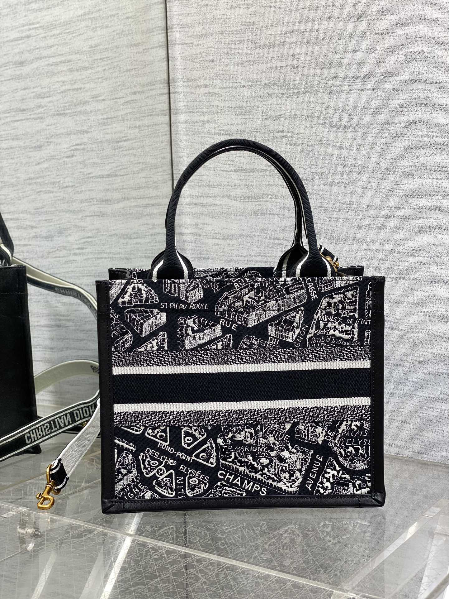 D10r Small D10r Book Tote White and Black Plan de Paris Embroidery and Black Calfskin 26.5 x 21 x 14 cm